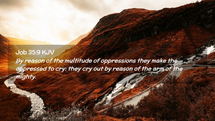 Picture 02 - Job 35:9 KJV Desktop Wallpaper - By reason of the multitude of oppressions they - Desktop Bible Verse Wallpaper