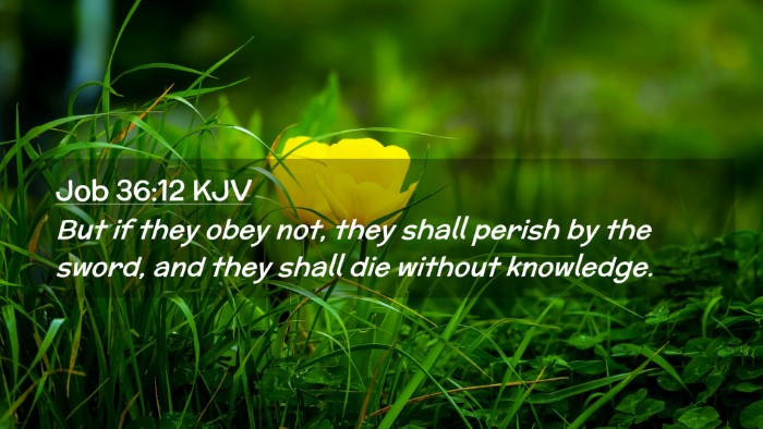 Picture 02 - Job 36:12 KJV Desktop Wallpaper - But if they obey not, they shall perish by the - Desktop Bible Verse Wallpaper