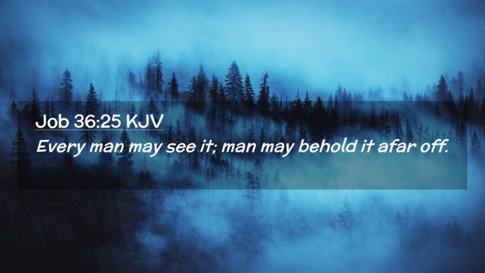Picture 02 - Job 36:25 KJV Desktop Wallpaper - Every man may see it; man may behold it afar - Desktop Bible Verse Wallpaper