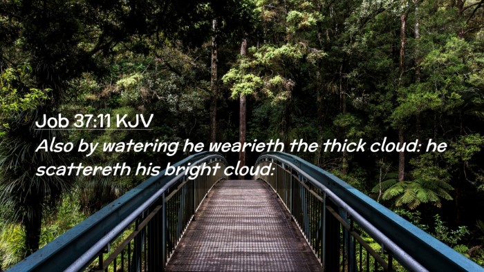 Picture 02 - Job 37:11 KJV Desktop Wallpaper - Also by watering he wearieth the thick cloud: he - Desktop Bible Verse Wallpaper