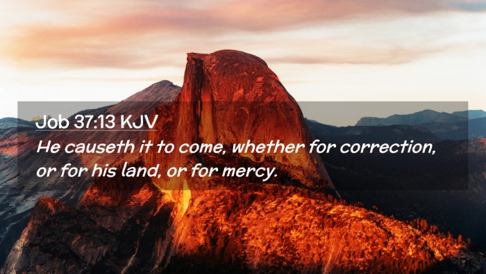 Picture 02 - Job 37:13 KJV Desktop Wallpaper - He causeth it to come, whether for correction, or - Desktop Bible Verse Wallpaper
