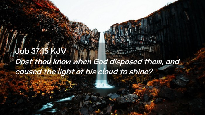 Picture 02 - Job 37:15 KJV Desktop Wallpaper - Dost thou know when God disposed them, and caused - Desktop Bible Verse Wallpaper