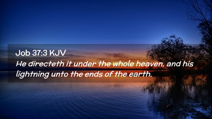Picture 02 - Job 37:3 KJV Desktop Wallpaper - He directeth it under the whole heaven, and his - Desktop Bible Verse Wallpaper