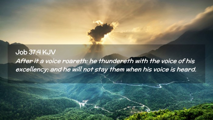 Picture 02 - Job 37:4 KJV Desktop Wallpaper - After it a voice roareth: he thundereth with the - Desktop Bible Verse Wallpaper
