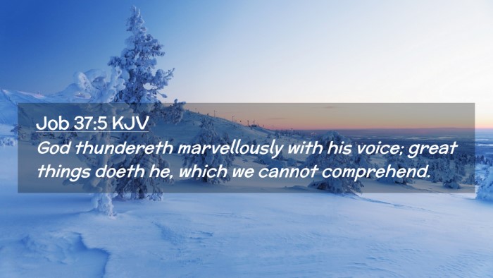 Picture 02 - Job 37:5 KJV Desktop Wallpaper - God thundereth marvellously with his voice; great - Desktop Bible Verse Wallpaper