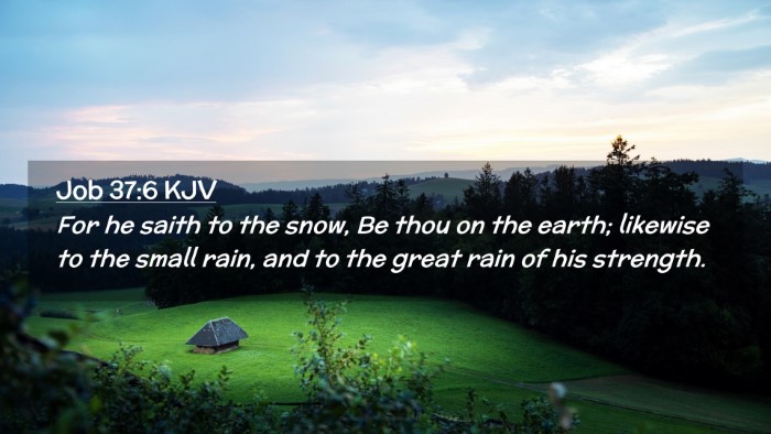 Picture 02 - Job 37:6 KJV Desktop Wallpaper - For he saith to the snow, Be thou on the earth; - Desktop Bible Verse Wallpaper