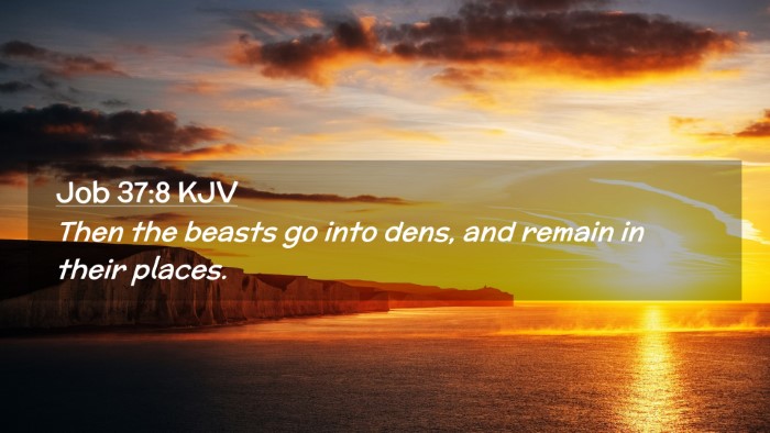 Picture 02 - Job 37:8 KJV Desktop Wallpaper - Then the beasts go into dens, and remain in their - Desktop Bible Verse Wallpaper