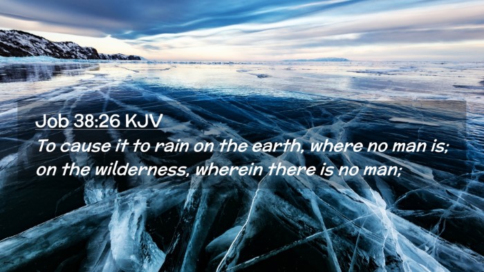 Picture 02 - Job 38:26 KJV Desktop Wallpaper - To cause it to rain on the earth, where no man - Desktop Bible Verse Wallpaper