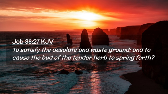 Picture 02 - Job 38:27 KJV Desktop Wallpaper - To satisfy the desolate and waste ground; and to - Desktop Bible Verse Wallpaper