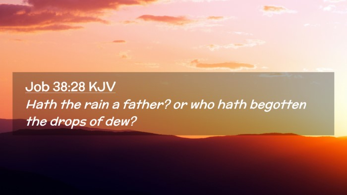 Picture 02 - Job 38:28 KJV Desktop Wallpaper - Hath the rain a father? or who hath begotten the - Desktop Bible Verse Wallpaper