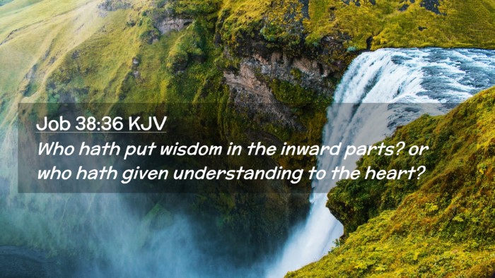 Picture 02 - Job 38:36 KJV Desktop Wallpaper - Who hath put wisdom in the inward parts? or who - Desktop Bible Verse Wallpaper