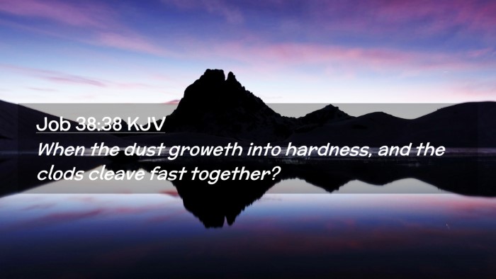 Picture 02 - Job 38:38 KJV Desktop Wallpaper - When the dust groweth into hardness, and the - Desktop Bible Verse Wallpaper