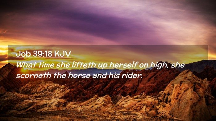 Picture 02 - Job 39:18 KJV Desktop Wallpaper - What time she lifteth up herself on high, she - Desktop Bible Verse Wallpaper