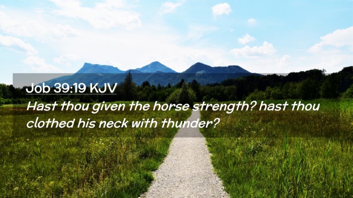 Picture 02 - Job 39:19 KJV Desktop Wallpaper - Hast thou given the horse strength? hast thou - Desktop Bible Verse Wallpaper