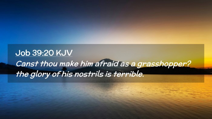 Picture 02 - Job 39:20 KJV Desktop Wallpaper - Canst thou make him afraid as a grasshopper? the - Desktop Bible Verse Wallpaper
