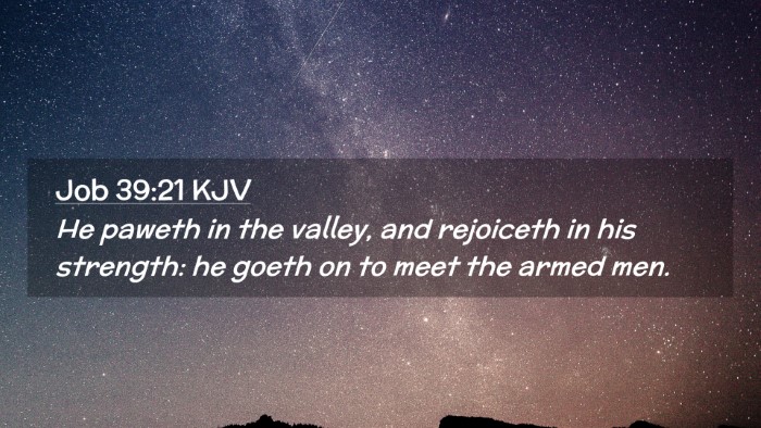 Picture 02 - Job 39:21 KJV Desktop Wallpaper - He paweth in the valley, and rejoiceth in his - Desktop Bible Verse Wallpaper