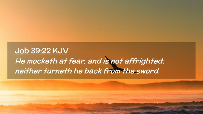 Picture 02 - Job 39:22 KJV Desktop Wallpaper - He mocketh at fear, and is not affrighted; - Desktop Bible Verse Wallpaper