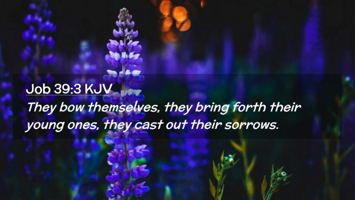 Picture 02 - Job 39:3 KJV Desktop Wallpaper - They bow themselves, they bring forth their young - Desktop Bible Verse Wallpaper