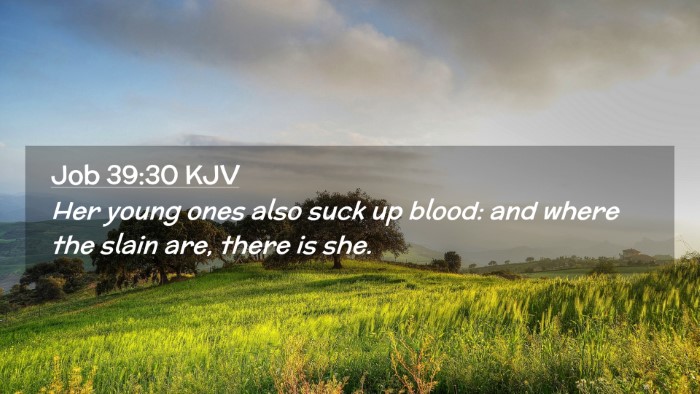 Picture 02 - Job 39:30 KJV Desktop Wallpaper - Her young ones also suck up blood: and where the - Desktop Bible Verse Wallpaper