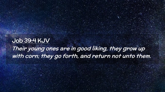 Picture 02 - Job 39:4 KJV Desktop Wallpaper - Their young ones are in good liking, they grow up - Desktop Bible Verse Wallpaper