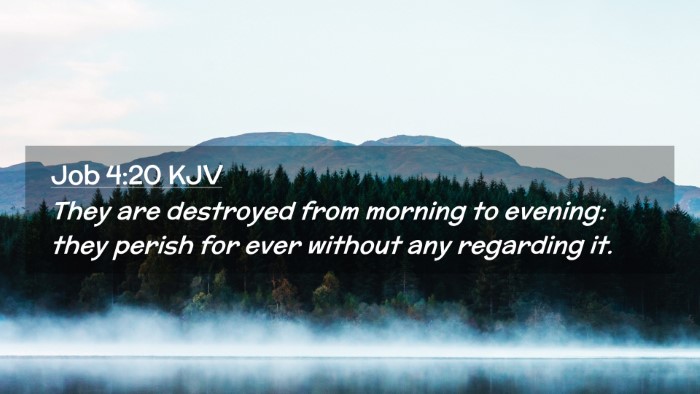 Picture 02 - Job 4:20 KJV Desktop Wallpaper - They are destroyed from morning to evening: they - Desktop Bible Verse Wallpaper