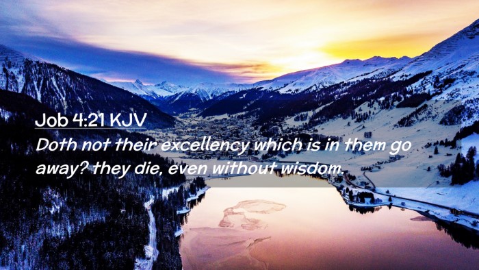 Picture 02 - Job 4:21 KJV Desktop Wallpaper - Doth not their excellency which is in them go - Desktop Bible Verse Wallpaper