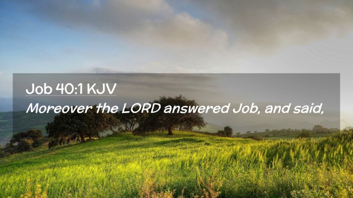 Picture 02 - Job 40:1 KJV Desktop Wallpaper - Moreover the LORD answered Job, and - Desktop Bible Verse Wallpaper