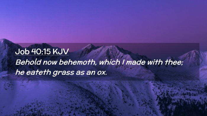 Picture 02 - Job 40:15 KJV Desktop Wallpaper - Behold now behemoth, which I made with thee; he - Desktop Bible Verse Wallpaper