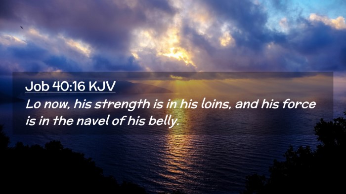 Picture 02 - Job 40:16 KJV Desktop Wallpaper - Lo now, his strength is in his loins, and his - Desktop Bible Verse Wallpaper