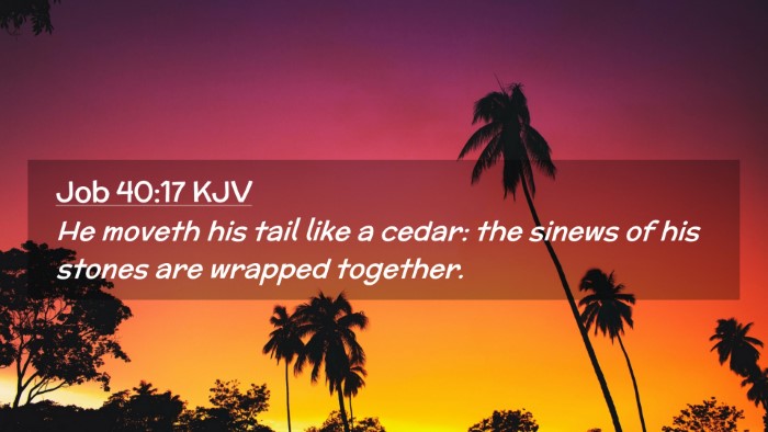 Picture 02 - Job 40:17 KJV Desktop Wallpaper - He moveth his tail like a cedar: the sinews of - Desktop Bible Verse Wallpaper