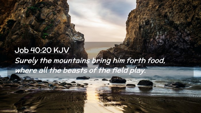 Picture 02 - Job 40:20 KJV Desktop Wallpaper - Surely the mountains bring him forth food, where - Desktop Bible Verse Wallpaper