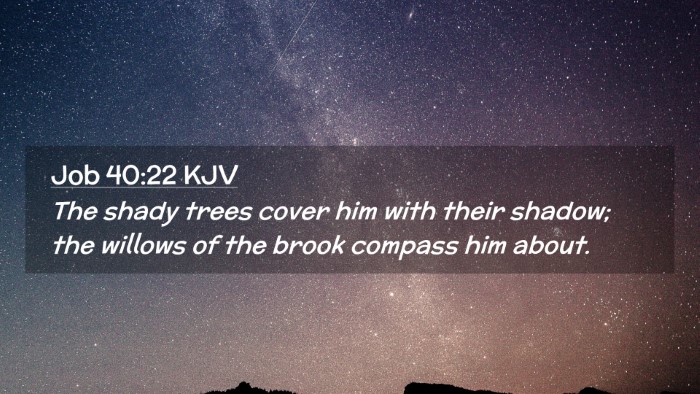 Picture 02 - Job 40:22 KJV Desktop Wallpaper - The shady trees cover him with their shadow; the - Desktop Bible Verse Wallpaper