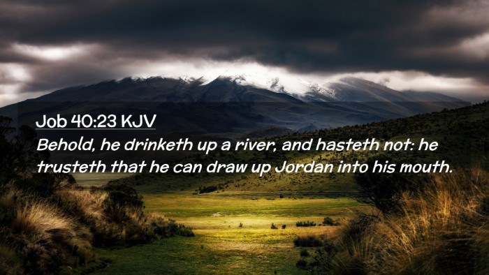 Picture 02 - Job 40:23 KJV Desktop Wallpaper - Behold, he drinketh up a river, and hasteth not: - Desktop Bible Verse Wallpaper