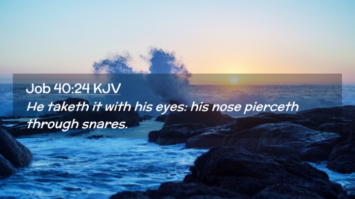 Picture 02 - Job 40:24 KJV Desktop Wallpaper - He taketh it with his eyes: his nose pierceth - Desktop Bible Verse Wallpaper