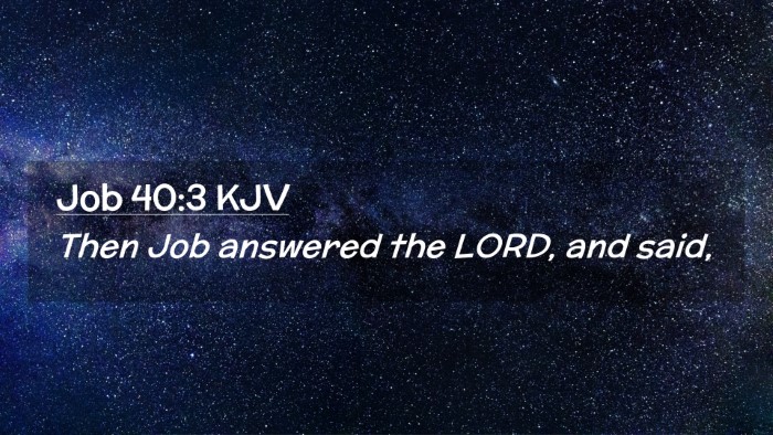 Picture 02 - Job 40:3 KJV Desktop Wallpaper - Then Job answered the LORD, and - Desktop Bible Verse Wallpaper