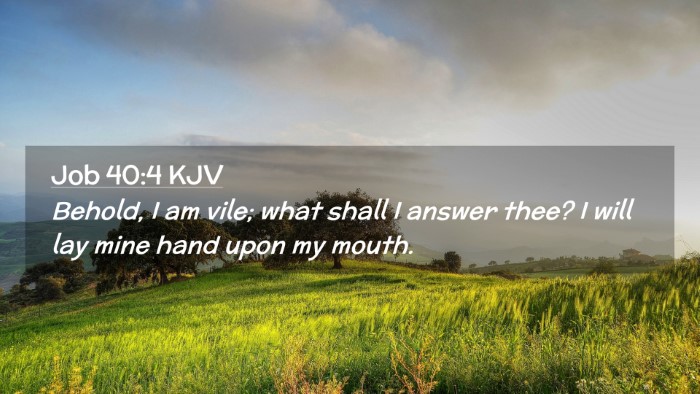 Picture 02 - Job 40:4 KJV Desktop Wallpaper - Behold, I am vile; what shall I answer thee? I - Desktop Bible Verse Wallpaper