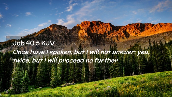 Picture 02 - Job 40:5 KJV Desktop Wallpaper - Once have I spoken; but I will not answer: yea, - Desktop Bible Verse Wallpaper