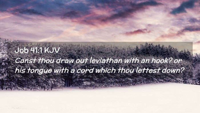Picture 02 - Job 41:1 KJV Desktop Wallpaper - Canst thou draw out leviathan with an hook? or - Desktop Bible Verse Wallpaper