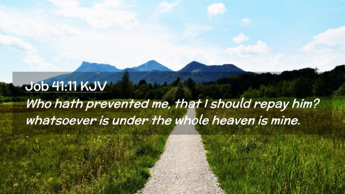 Picture 02 - Job 41:11 KJV Desktop Wallpaper - Who hath prevented me, that I should repay him? - Desktop Bible Verse Wallpaper