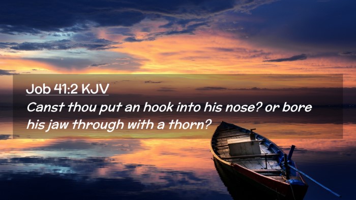 Picture 02 - Job 41:2 KJV Desktop Wallpaper - Canst thou put an hook into his nose? or bore his - Desktop Bible Verse Wallpaper