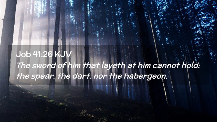 Picture 02 - Job 41:26 KJV Desktop Wallpaper - The sword of him that layeth at him cannot hold: - Desktop Bible Verse Wallpaper