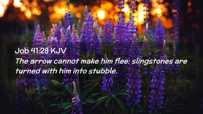Picture 02 - Job 41:28 KJV Desktop Wallpaper - The arrow cannot make him flee: slingstones are - Desktop Bible Verse Wallpaper