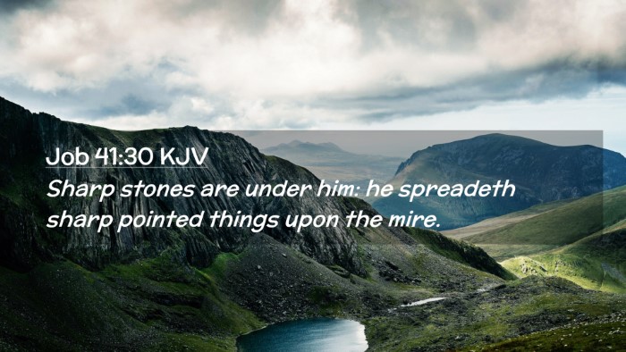 Picture 02 - Job 41:30 KJV Desktop Wallpaper - Sharp stones are under him: he spreadeth sharp - Desktop Bible Verse Wallpaper
