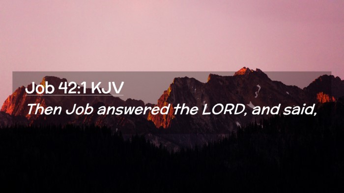Picture 02 - Job 42:1 KJV Desktop Wallpaper - Then Job answered the LORD, and - Desktop Bible Verse Wallpaper