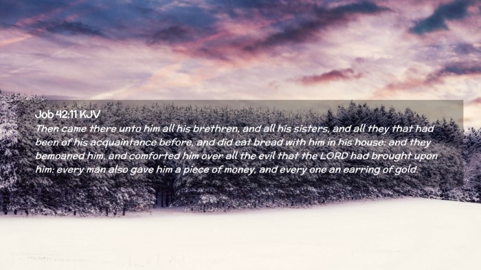 Picture 02 - Job 42:11 KJV Desktop Wallpaper - Then came there unto him all his brethren, and - Desktop Bible Verse Wallpaper