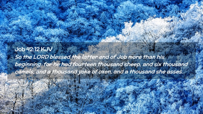 Picture 02 - Job 42:12 KJV Desktop Wallpaper - So the LORD blessed the latter end of Job more - Desktop Bible Verse Wallpaper