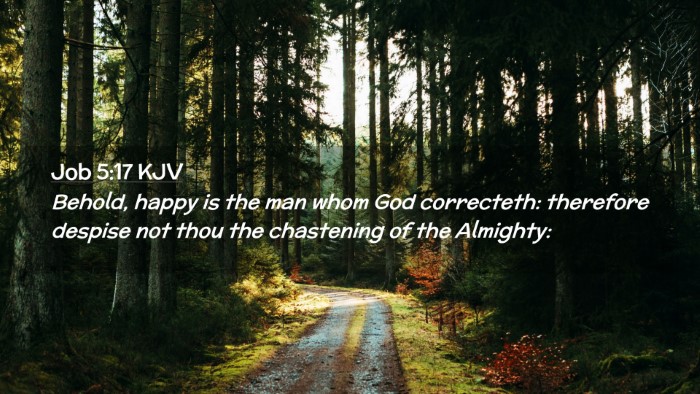 Picture 02 - Job 5:17 KJV Desktop Wallpaper - Behold, happy is the man whom God correcteth: - Desktop Bible Verse Wallpaper