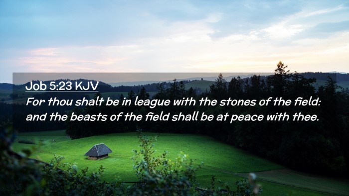 Picture 02 - Job 5:23 KJV Desktop Wallpaper - For thou shalt be in league with the stones of - Desktop Bible Verse Wallpaper