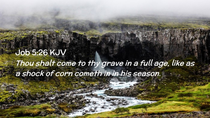 Picture 02 - Job 5:26 KJV Desktop Wallpaper - Thou shalt come to thy grave in a full age, like - Desktop Bible Verse Wallpaper