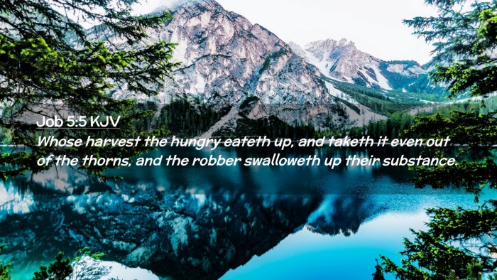 Picture 02 - Job 5:5 KJV Desktop Wallpaper - Whose harvest the hungry eateth up, and taketh it - Desktop Bible Verse Wallpaper